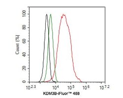 JMJD1B Antibody (1A8), Novus Biologicals 100 &mu;L; Unconjugated:Antibodies,