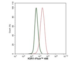 KSR1 Antibody (JE57-75), Novus Biologicals 100 &mu;L; Unconjugated:Antibodies,
