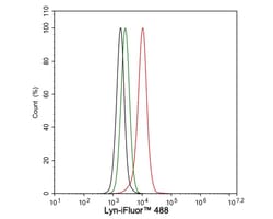 Lyn Antibody (JE44-75), Novus Biologicals 100 &mu;L; Unconjugated:Anticorps,