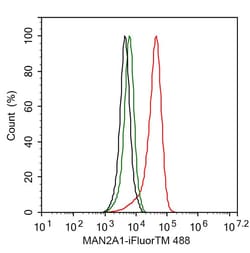 Alpha-mannosidase II Antibody (PSH02-67), Novus Biologicals 100 &mu;L;