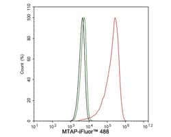 MTAP Antibody (JE63-74), Novus Biologicals 100 &mu;L; Unconjugated:Antibodies,