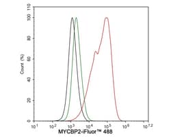 MYCBP2 Antibody (PSH03-68), Novus Biologicals 100 &mu;L; Unconjugated:Antibodies,