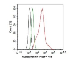NPM1 Antibody (PD00-91), Novus Biologicals 100 &mu;L; Unconjugated:Antibodies,