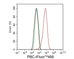 Pyruvate Carboxylase Antibody (PSH01-56), Novus Biologicals 100 &mu;L;
