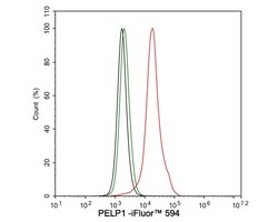 PELP1 Antibody (JE02-42), Novus Biologicals 100 &mu;L; Unconjugated:Antikroppar