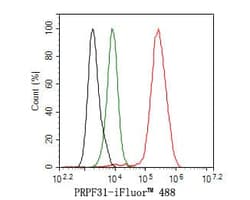 PRPF31 Antibody (JE64-82), Novus Biologicals 100 &mu;L; Unconjugated:Antibodies,