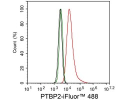 PTBP2 Antibody (JE66-55), Novus Biologicals 100 &mu;L; Unconjugated:Antibodies,