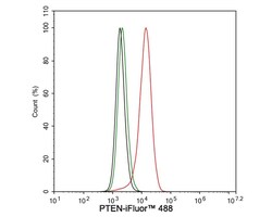 PTEN Antibody (JE51-96), Novus Biologicals 100 &mu;L; Unconjugated:Antibodies,