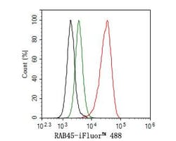 RASEF Antibody (JE65-33), Novus Biologicals 100 &mu;L; Unconjugated:Antibodies,
