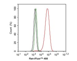 Ran Antibody (JE33-28), Novus Biologicals 100 &mu;L; Unconjugated:Antibodies,