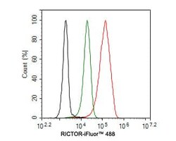 Rictor Antibody (1A5), Novus Biologicals 100 &mu;L; Unconjugated:Antibodies,