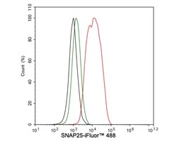 SNAP25 Antibody (JE45-86), Novus Biologicals 100 &mu;L; Unconjugated:Antibodies,