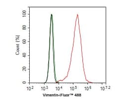 Vimentin Antibody (PDH0-01), Novus Biologicals 100 &mu;L; Unconjugated:Antibodies,
