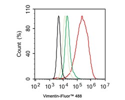 Vimentin Antibody (SC60-05), Novus Biologicals 100 &mu;L; Unconjugated:Antibodies,
