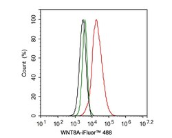 Wnt-8a Antibody (PSH0-39), Novus Biologicals 100 &mu;L; Unconjugated:Antibodies,