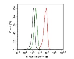 YTHD1 Antibody (PSH0-23), Novus Biologicals 100 &mu;L; Unconjugated:Antibodies,