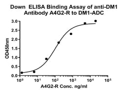 Mertansine/DM1 Antibody (A4G2-R), Novus Biologicals 100 &mu;L | Buy Online | Novus Biologicals | Fisher Scientific