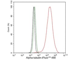 alpha Tubulin Antibody (PSH02-95), Novus Biologicals 100 &mu;L; Unconjugated:Antibodies,