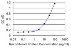 p23/PTGES3 Antibody (3C6-2B9), Novus Biologicals 0.1 mg | Buy Online | Novus Biologicals | Fisher Scientific