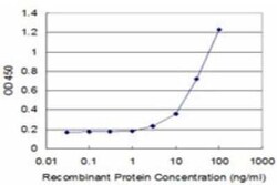 p23/PTGES3 Antibody (3H1-2A8), Novus Biologicals 0.1 mg | Buy Online | Novus Biologicals | Fisher Scientific