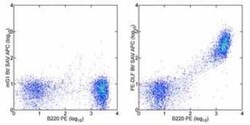 phycoerythrin Antibody (PE-DLF) - BSA Free, Novus Biologicals 500&mu;g;