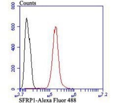 sFRP-1 Antibody 100 &mu;L | Buy Online | Novus Biologicals | Fisher Scientific