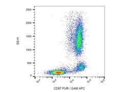 uPAR Antibody (VIM5) - BSA Free, Novus Biologicals 0.1 mg; Unconjugated:Antibodies,