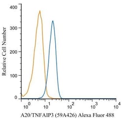 A20/TNFAIP3 Antibody (59A426) - BSA Free, Novus Biologicals 0.1mg; Unlabeled:Antibodies,