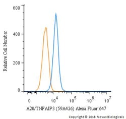 A20/TNFAIP3 Antibody (59A426) - BSA Free, Novus Biologicals 0.1mg; Unlabeled:Antibodies,