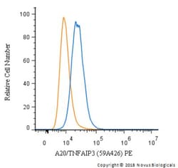 A20/TNFAIP3 Antibody (59A426) - BSA Free, Novus Biologicals 0.1mg; Unlabeled:Antibodies,