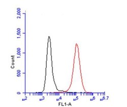 AIF-1/Iba1 Antibody, Novus Biologicals 0.1mg; Unlabeled:Antibodies, Polyclonal