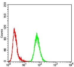 AP2 alpha Antibody (7D2B5) - BSA Free, Novus Biologicals 0.1mg; Unlabeled:Antibodies,