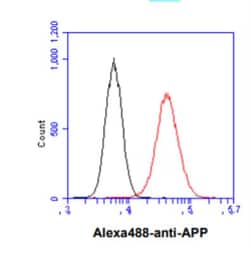 APP Antibody (J4H9) - BSA Free, Novus Biologicals 0.1mL; Unlabeled:Antibodies,