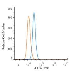 ATF6 Antibody (70B1413.1) - BSA Free, Novus Biologicals 0.1mg; Unlabeled:Antibodies,