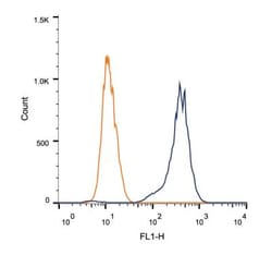 ATF6 Antibody (70B1413.1) - BSA Free, Novus Biologicals 0.1mg; Unlabeled:Antibodies,