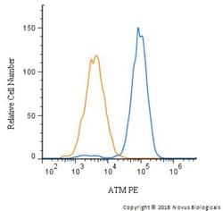 ATM Antibody, Novus Biologicals 0.025mL; Unlabeled:Antibodies, Polyclonal