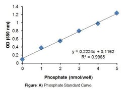 Novus Biologicals&trade;&nbsp;ATPase Activity Activity Assay Kit (Colorimetric)