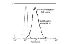 Acrolein Antibody (10A10), Novus Biologicals:Antibodies:Primary Antibodies