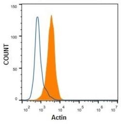 pan Actin Antibody (5J11), Novus Biologicals:Antibodies:Primary Antibodies