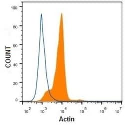 Actin Antibody (mAbGEa), Novus Biologicals 0.1mL; Unlabeled:Antibodies,