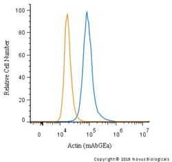 Actin Antibody (mAbGEa), Novus Biologicals 0.1mL; Unlabeled:Antibodies,