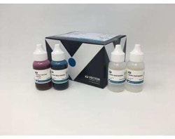 Novus Biologicals&trade;&nbsp;Alcian Blue (pH 2.5) Stain Kit