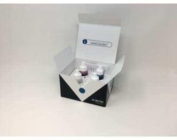 Novus Biologicals Alcian Blue (pH 2.5) Stain Kit 1 Kit | Buy Online | Novus Biologicals&trade; | Fisher Scientific