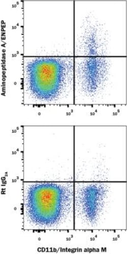 Aminopeptidase A/ENPEP Antibody (6C3) - BSA Free, Novus Biologicals 0.05 mg | Buy Online | Novus Biologicals | Fisher Scientific