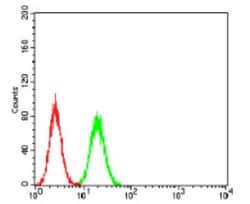 Annexin V Antibody (3B9B7) - BSA Free, Novus Biologicals 0.1 mg | Buy Online | Novus Biologicals | Fisher Scientific