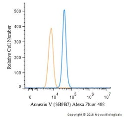 Annexin V Antibody (3B9B7) - BSA Free, Novus Biologicals 0.1 mg | Buy Online | Novus Biologicals | Fisher Scientific