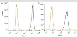 Apolipoprotein A5 Antibody (1G5G9), Novus Biologicals 0.1mL; Unlabeled:Antibodies,