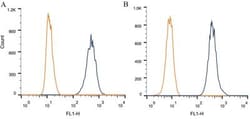 Apolipoprotein E/ApoE Antibody (WUE-4) - BSA Free, Novus Biologicals 0.025mL;