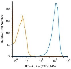 B7-2/CD86 Antibody (C86/1146), Novus Biologicals 0.2mg; Unlabeled:Antibodies,