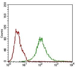 BACE-1 Antibody (3C1C3) - BSA Free, Novus Biologicals:Antibodies:Primary